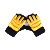 Taekwondo Gloves