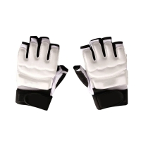 Taekwondo Gloves