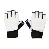 Taekwondo Gloves